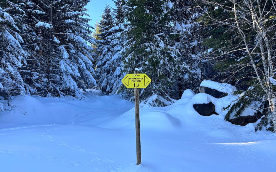 Circuit piéton - du Col du Calvaire à la digue du Lac Blanc