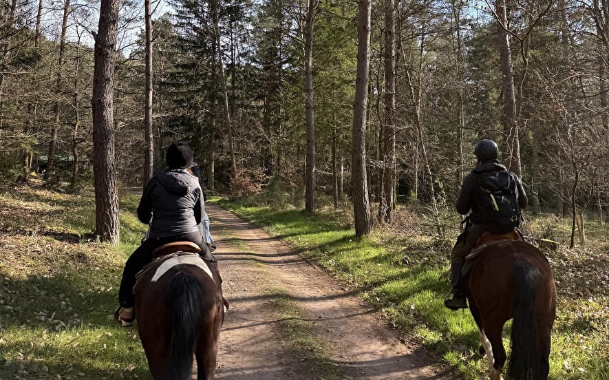 Randonnée guidée à cheval dans les Vosges du Nord
