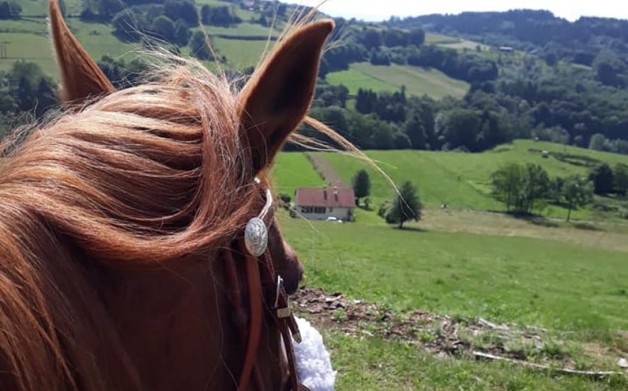 Trace equestre des ballons comtois