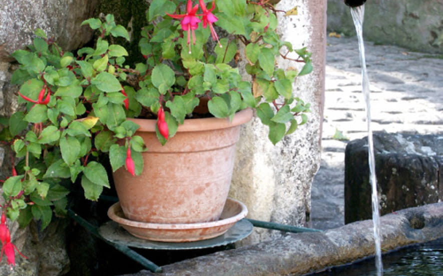 Fontaine de la rue du Schauenberg à Osenbach