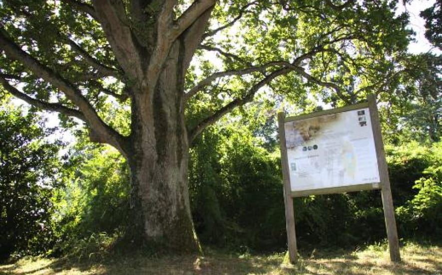 Centre permanent d'initiatives pour l'environnement
