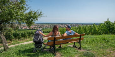 Circuit poussettes : Balade entre vignoble et piémont