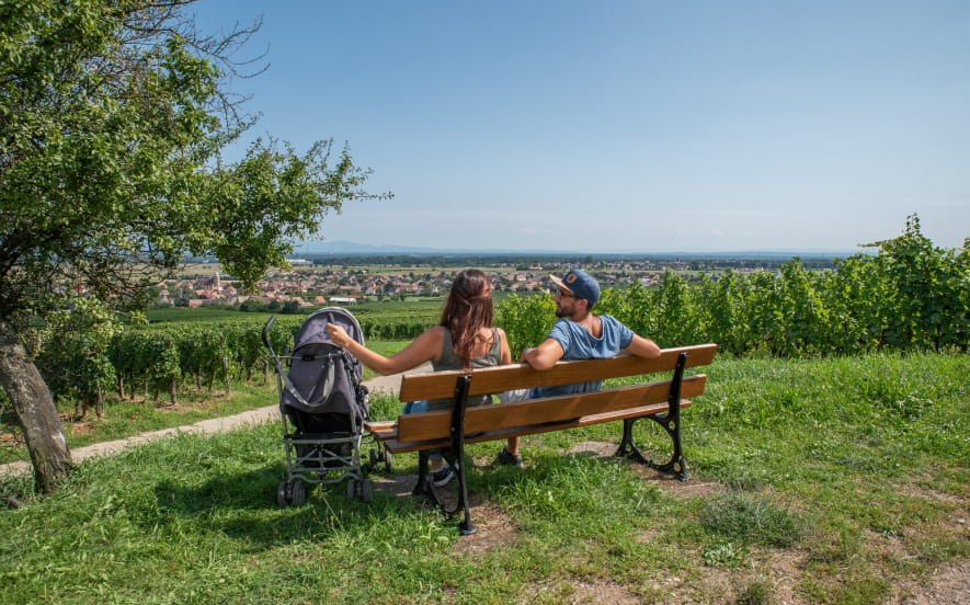 Circuit poussettes : Balade entre vignoble et piémont