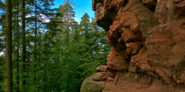Site d'escalade - Le Rocher du Hohwalsch