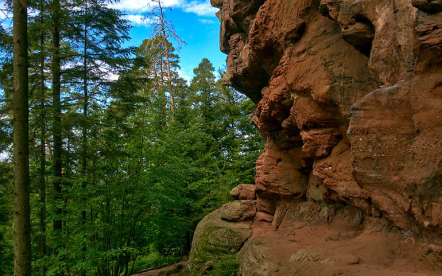 Site d'escalade - Le Rocher du Hohwalsch