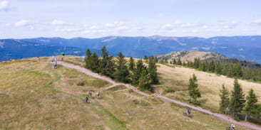 Le Petit Ballon - Vallée de Munster