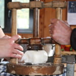 La fabrication des navets salés