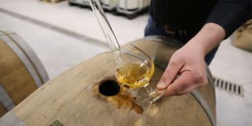 Distillerie de la Quintessence