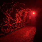 Escape Game au Parc Tellure