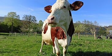 La Ferme Pédagogique de Bouxwiller