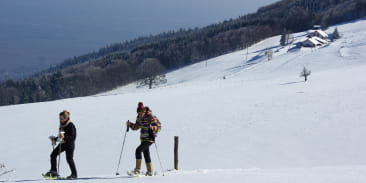 Les chaumes du Molkenrain
