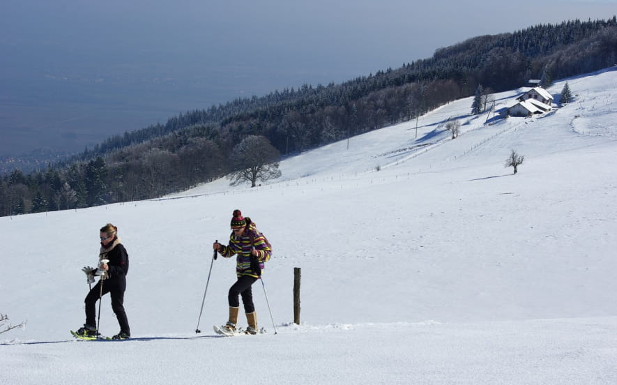Les chaumes du Molkenrain