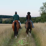 Open ranch - Balades équestres