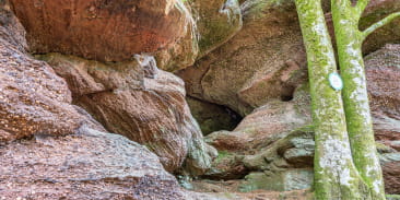 Grotte de Danne