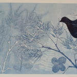 Initiation au monotype végétal