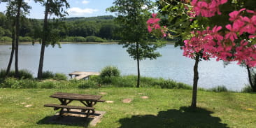 Aire de pique-nique du lac