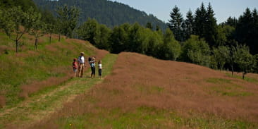 Circuit rando H05 : Le sentier des fruitiers