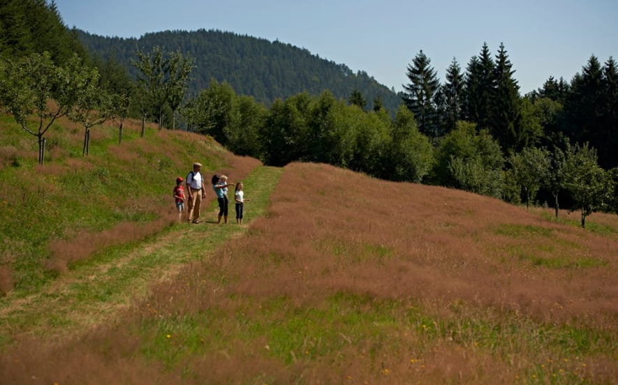 Circuit rando H05 : Le sentier des fruitiers
