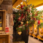 Dégustation autour du calendrier de l'Avent