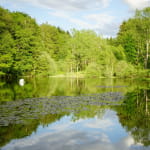 Hébergements l'étang d'anty