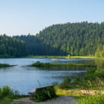 Le lac de lispach
