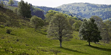 La Perheux