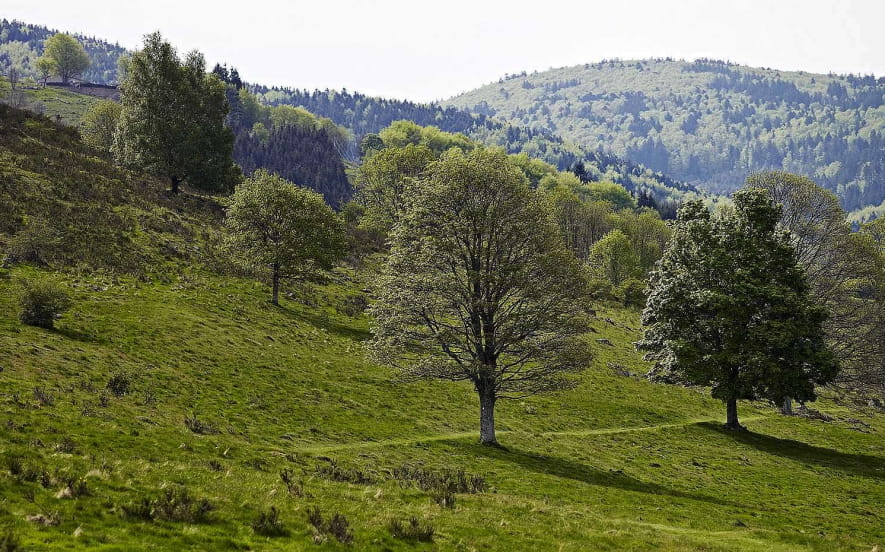 La Perheux