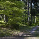 Sentier thématique : Le sentier de la poésie