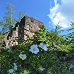 Ruines des Châteaux du Nideck