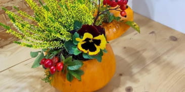 Atelier floral : Citrouille fleurie