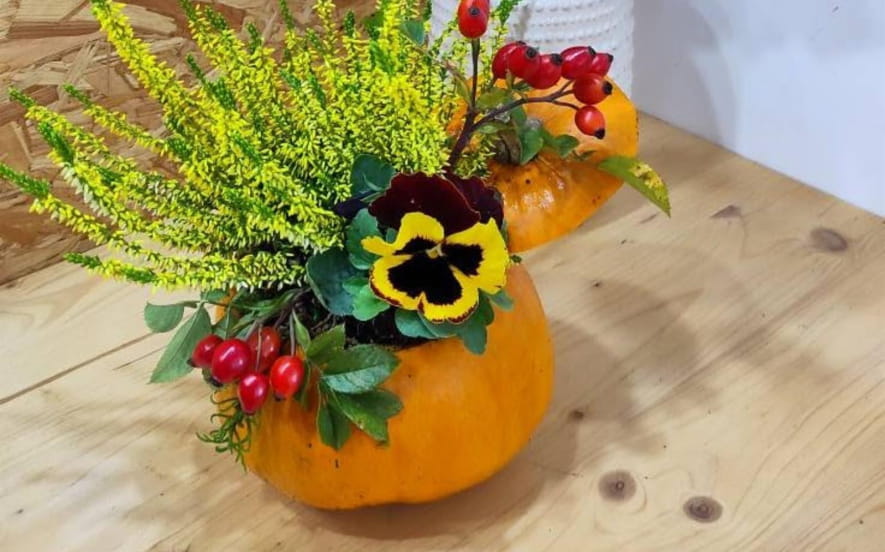 Atelier floral : Citrouille fleurie