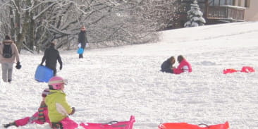 Aire de luge de Larcenaire