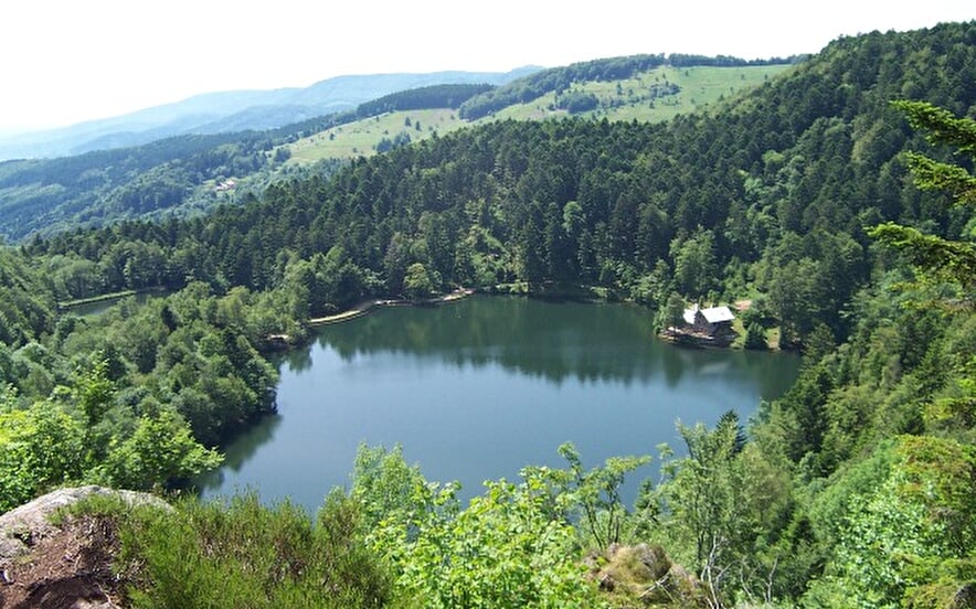 Lacs du Neuweiher