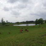 Ferme du Breuillet