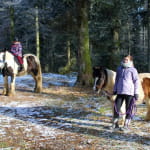 Horse Spirit - Le Clos Yakari