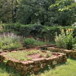 Les châteaux d'Ottrott