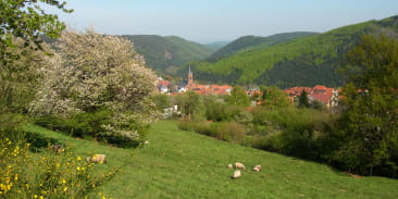 Circuit poussettes B02 : Sur les hauteurs de Grendelbruch