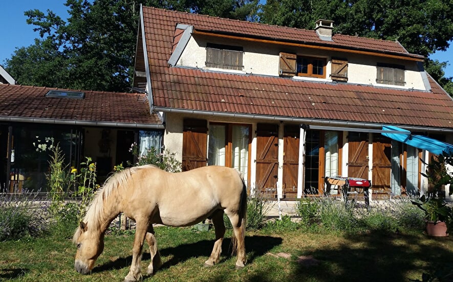 Eco site Epona "la mini ferme"