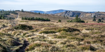 Réserve naturelle nationale du Tanet-Gazon du Faing