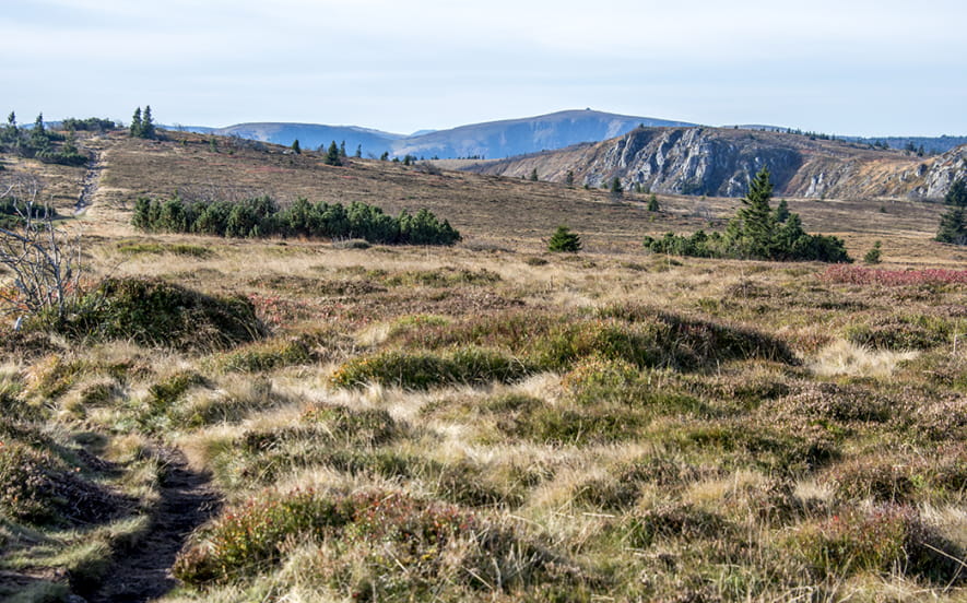 Réserve naturelle nationale du Tanet-Gazon du Faing