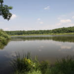 Centre permanent d'initiatives pour l'environnement
