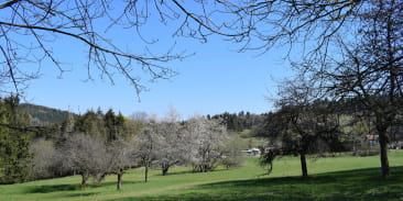 Circuit poussettes 4x4 B01 : De Grendelbruch au Hohbuhl
