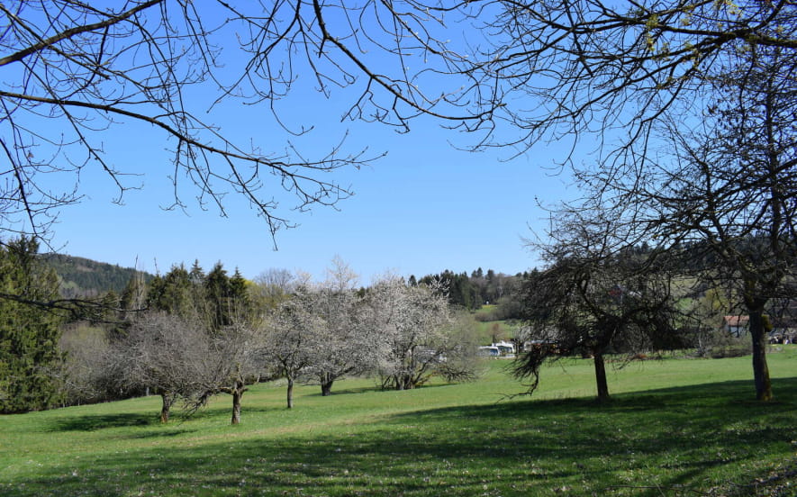 Circuit poussettes 4x4 B01 : De Grendelbruch au Hohbuhl