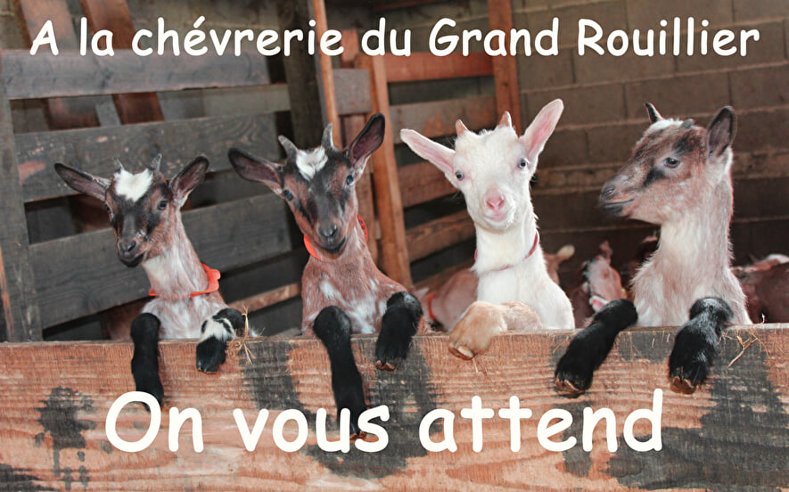 Chèvrerie du grand rouillier