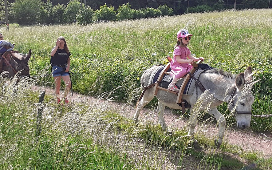 Ferme equestre de la forge
