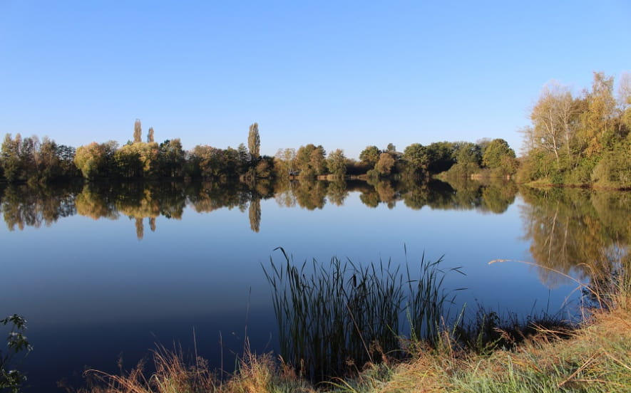 Plan d'eau de Roye