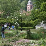 Les jardins du Parc de la Villa Burrus