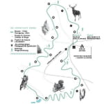 Circuit poussettes 4x4 H03 : sentier de découverte d'une forêt