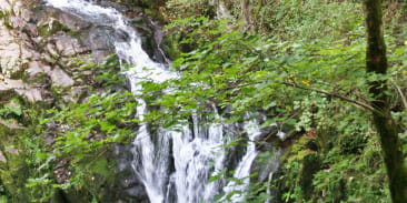 Cascade du Saut du Bouchot