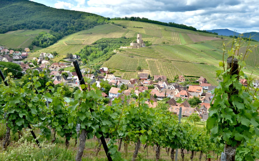 Randonnée médiévale